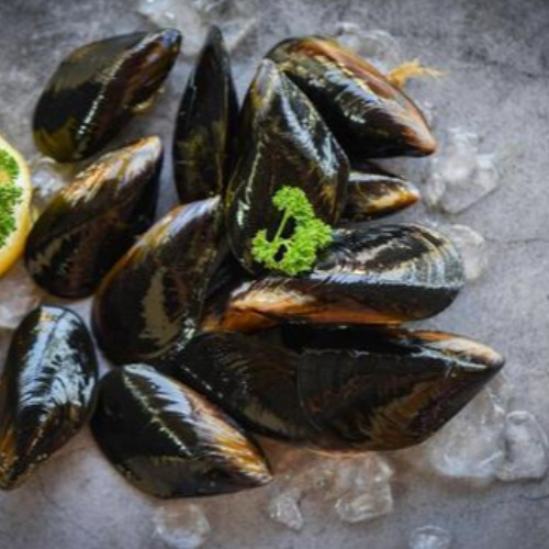 Australian Mussles