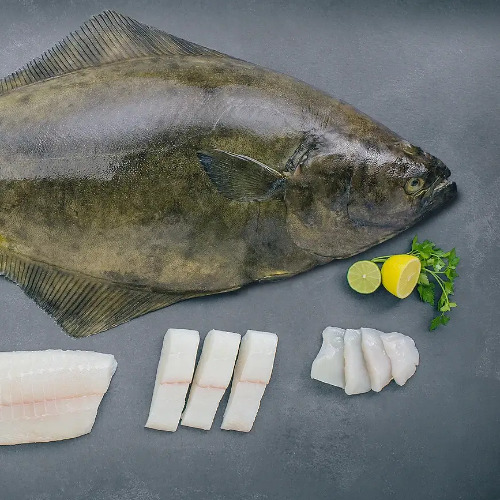 Halibut