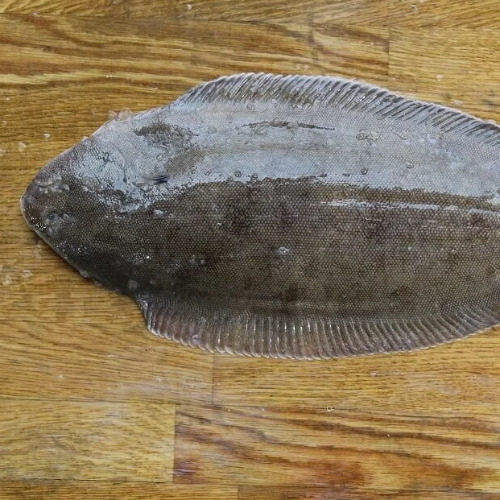 Dover Sole